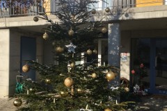 24_Hollenstein